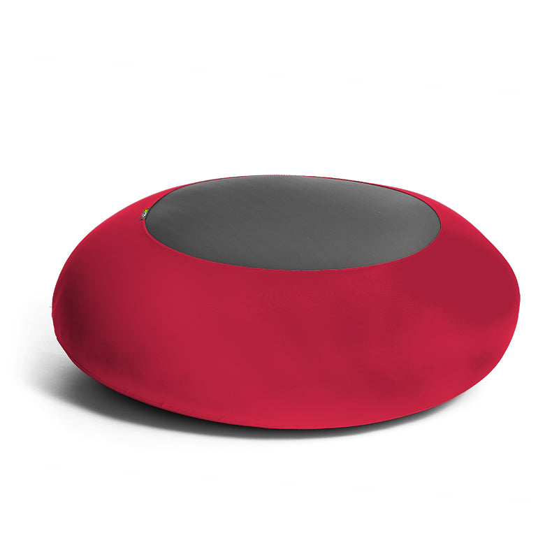 X-Disc stor (uden cover)