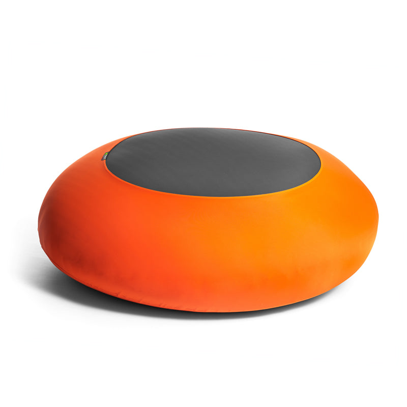 X-Disc stor (uden cover)