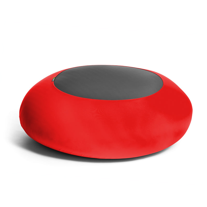 X-Disc stor (uden cover)