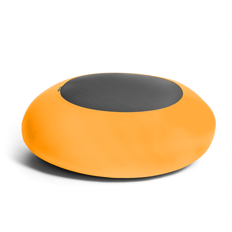 X-Disc stor (uden cover)